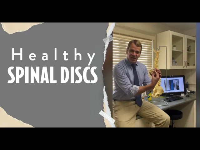 Healthy Spinal Discs Chiropractor In Fairhaven, MA